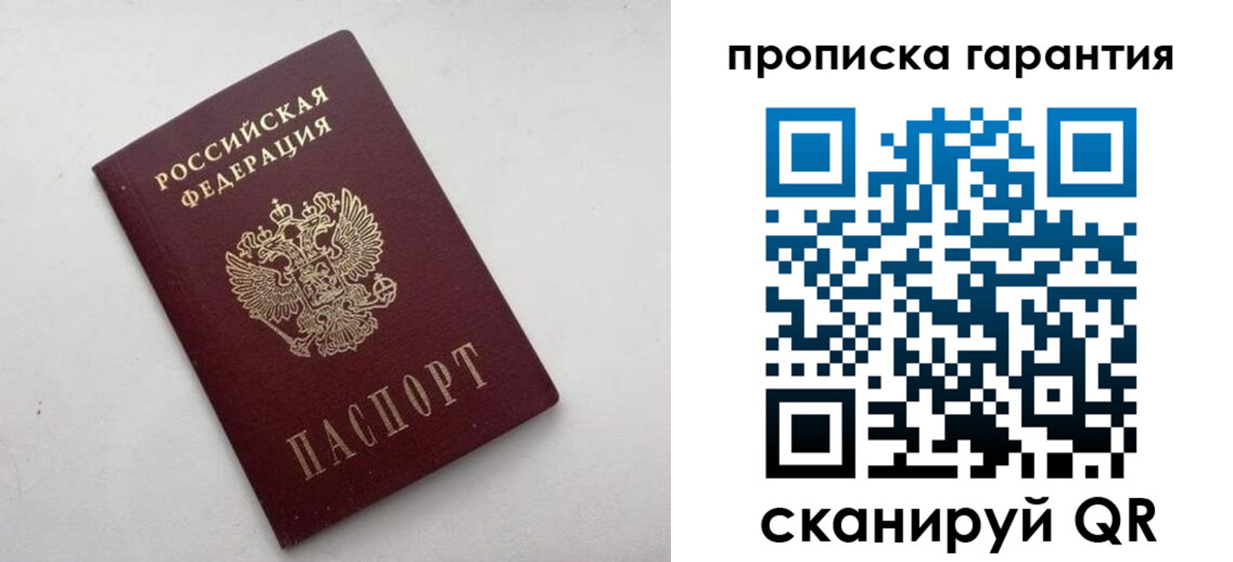 прописка поиск в Мончегорске